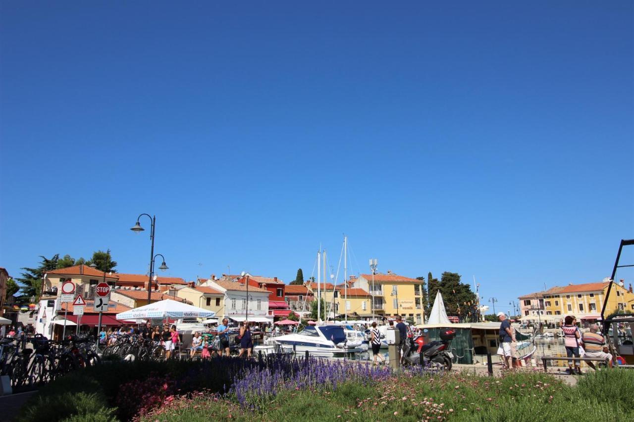 Gianna N2, 600 M From The Beach Novigrad Istria Exteriör bild